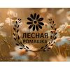 Лесная ромашка