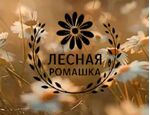 Лесная ромашка