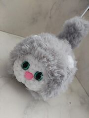 Кот пушистый, изображение 2