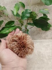 Брелок вязаный ёжик, изображение 4