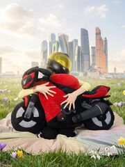 Красный спорт : мотоцикл текстильная модель, не игрушка-подушка, подарок для мотоциклиста вне сезона 108х70 см, изображение 4