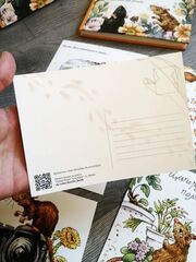 Комплект: Книга "Приручение Чучундры" А.Зимин, Л.Дроздова и 5 открыток по иллюстрациям, изображение 5