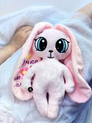 Мягкая плюшевая игрушка Зайка с длинными ушами и метрикой FomiToys 24 см ручная работа подарок на выписку, Вариации товаров: 2, изображение 2