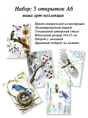 Арт-коллекция открыток "Акварельные птицы" 5 штук, 10х15 см, иллюстрации от художника, Вариации товаров: 2, Основной цвет: Голубой, Размер: 2