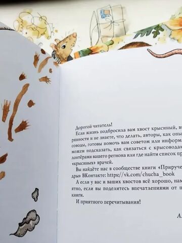 Комплект: Книга "Приручение Чучундры" А.Зимин, Л.Дроздова и 5 открыток по иллюстрациям, изображение 13