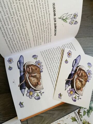 Комплект: Книга "Приручение Чучундры" А.Зимин, Л.Дроздова и 5 открыток по иллюстрациям, изображение 8
