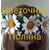 Цветочная поляна