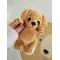 Мастер-класс "Далматинец и Лабрадор" вязание крючком автор Chirka_toys, изображение 6