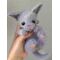 МК спицами "Котик Юлик (Кошечка Юлька)"Автор Ирина кочетова, изображение 2
