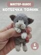 МК спицами Котеечка ТОМИК Автор Ирина Кочетова