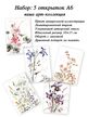 Арт-коллекция открыток "Акварельные цветы" 5 штук, 10х15 см, иллюстрации от художника, Вариации товаров: 7, Основной цвет: Пурпурный, Размер: 7